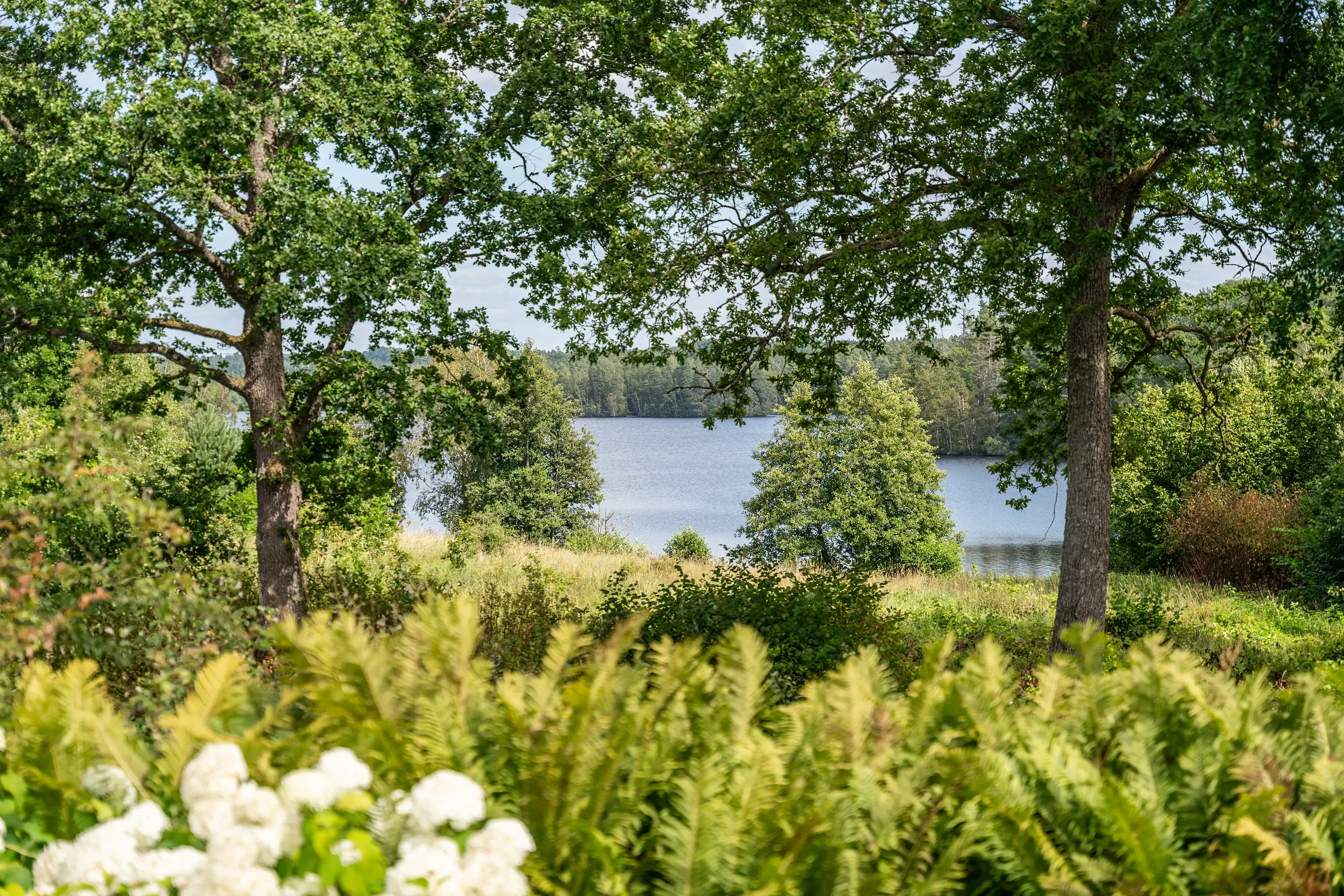 IMG_3512 3