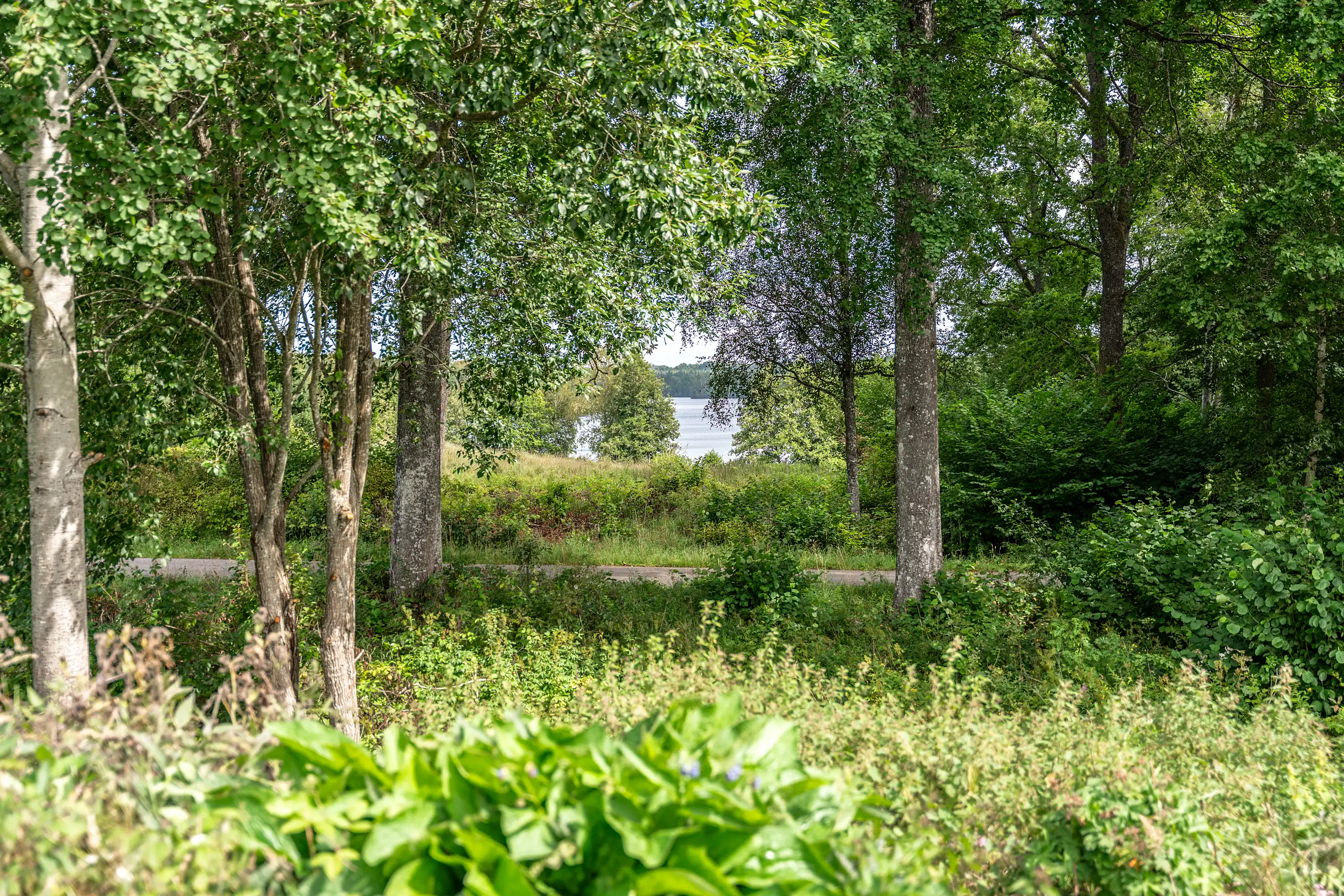 IMG_3522 2